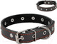 Миниатюра изображения товара Ошейник Homepet 20мм 32-42см / 75894 (черный)