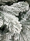 Миниатюра изображения товара Ель искусственная GreenTerra Онтарио (1.2м)