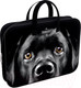 Миниатюра изображения товара Папка-портфель Erich Krause Black Dog / 60462