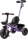 Миниатюра изображения товара Трехколесный велосипед с ручкой Farfello 208-1 (фиолетовый)