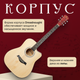 Миниатюра изображения товара Акустическая гитара ROKSO FT-221-N