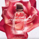 Миниатюра изображения товара Парфюмерная вода Narciso Rodriguez All Of Me (50мл)