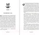 Миниатюра изображения товара Художественная книга Эксмо Аня из Авонлеи / 9785041867867 (Монтгомери Л.)