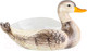 Миниатюра изображения товара Блюдо Elan Gallery Уточка / 340059 
