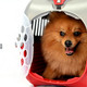 Миниатюра изображения товара Переноска для животных Bama Pet Kennel Tour / 19023 (красный)