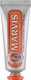 Миниатюра изображения товара Зубная паста Marvis Мята и имбирь (25мл)