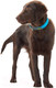 Миниатюра изображения товара Ошейник HUNTER Collar Convenience / 63153 (55/M-L, бирюзовый)