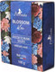 Миниатюра изображения товара Гель для душа Florinda Твердый Синие цветы (100г)
