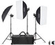 Миниатюра изображения товара Комплект оборудования для фотостудии Godox MS300V-D / 30283
