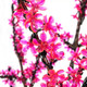 Миниатюра изображения товара Светодиодное дерево Neon-Night Сакура 531-108 (1.5м, розовый)