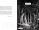 Миниатюра изображения товара Комикс АСТ Ад Данте. Графический роман / 9785171570149 (Алигьери Д., Бриззи П., Бриззи Г.)