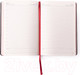 Миниатюра изображения товара Ежедневник Acar Group Broad / BR10697/BRD10697 (красный)