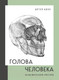 Миниатюра изображения товара Книга Бомбора Голова человека. Академический рисунок / 9785041700492 (Кочу А.И.)