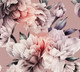 Миниатюра изображения товара Фотообои листовые Vimala Настенные цветы 17 (270x300)