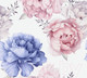 Миниатюра изображения товара Фотообои листовые Vimala Настенные цветы 19 (270x300)