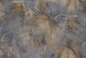 Миниатюра изображения товара Фотообои листовые Vimala Настенные листья (270x400)