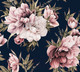 Миниатюра изображения товара Фотообои листовые Vimala Настенные цветы 8 (270x300)
