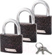 Миниатюра изображения товара Набор замков навесных Avers PD-01-63-Blister (3Locks+3Keys)