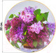 Миниатюра изображения товара Декоративная тарелка Elan Gallery Сирень / 420311 