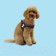 Миниатюра изображения товара Шлея United Pets Complete Me L 51x44-58см (красная зебра)