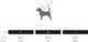 Миниатюра изображения товара Поводок United Pets Complete Me 140см, 2см (оранжевый/голубой)