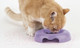 Миниатюра изображения товара Миска для животных United Pets Kitty-Ca / GI0111LI (сиреневый)