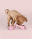 Миниатюра изображения товара Миска для животных United Pets Bicio / GU0121RO20 (розовый)
