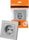 Миниатюра изображения товара Розетка TDM Сенеж / SQ1816-0233 (серебрянный металлик)