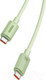Миниатюра изображения товара Кабель Baseus Habitat Series Fast Charging Type-C to Type-C / P10360202631-01 (2м, зеленый)