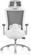 Миниатюра изображения товара Кресло офисное Evolution Ergo Prime (серый)