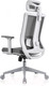 Миниатюра изображения товара Кресло офисное Evolution Ergo Bliss (серый)