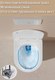 Миниатюра изображения товара Унитаз подвесной с инсталляцией Roxen StounFix Dual Fresh 913681