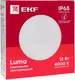 Миниатюра изображения товара Светильник ЖКХ EKF PROxima BKL-2800DA-R-12-6500