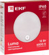 Миниатюра изображения товара Светильник ЖКХ EKF PROxima BKL-2200DI-R-12-6500