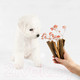 Миниатюра изображения товара Лакомство для собак Nature's Protection SC White Dogs Hypoallergenic&Dental / KIKNPSC47202 (150г)