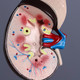 Миниатюра изображения товара Анатомическая модель Sima-Land Почка человека / 5076794