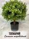 Миниатюра изображения товара Искусственное растение Merry Bear Home Decor Самшит шаровидный / KM5305