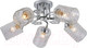 Миниатюра изображения товара Люстра ESCADA Weigela 1113/5PL
