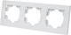 Миниатюра изображения товара Рамка для выключателей и розеток TDM Сенеж / SQ1816-0056 (белый)