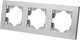Миниатюра изображения товара Рамка для выключателей и розеток TDM Сенеж / SQ1816-0256 (серебристый металлик)