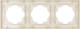 Миниатюра изображения товара Рамка для выключателей и розеток TDM Сенеж / SQ1816-0156 (слоновая кость)
