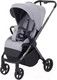 Миниатюра изображения товара Детская прогулочная коляска Rant Golf / RA101 (Classic Grey)