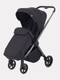 Миниатюра изображения товара Детская прогулочная коляска Rant Golf / RA101 (Black)