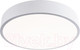 Миниатюра изображения товара Потолочный светильник LED4U L2020-300 WH