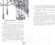 Миниатюра изображения товара Книга Черным-бело Песнь Сорокопута / 9785041870416 (Кель Ф.)