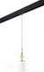 Миниатюра изображения товара Трековый светильник Lightstar Escica / PRO806010