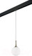 Миниатюра изображения товара Трековый светильник Lightstar Globo / PRO813021