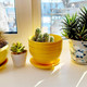 Миниатюра изображения товара Вазон Вещицы BH-25-4 (желтый)