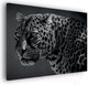 Миниатюра изображения товара Картина Stamprint Леопард AM003 (80x100см)