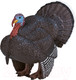 Миниатюра изображения товара Фигурка коллекционная Konik Индюк / AMW2118